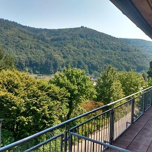 Hotel Zum Neckartal Heidelberg